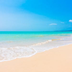 名称未設定のデザイン-30