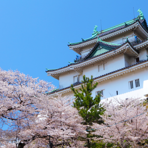 名称未設定のデザイン-33